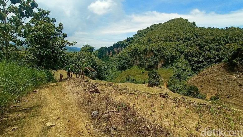 Lokasi mobil nyasar di hutan Desa Wukirsari, Kecamatan Tambakromo, Pati, Senin (13/2/2023).