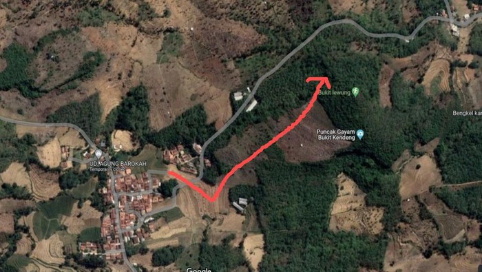 Rute dari ujung jalan Dusun Gares, Desa Wukirsari, Kecamatan Tambakromo menuju kawasan hutan dekat Bukit Lewung tempat mobil tersesat (di ujung anak panah merah).