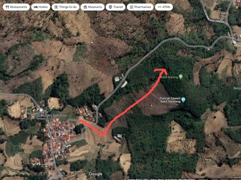 Rute dari ujung jalan Dusun Gares, Desa Wukirsari, Kecamatan Tambakromo menuju kawasan hutan dekat Bukit Lewung tempat mobil tersesat (di ujung anak panah merah).