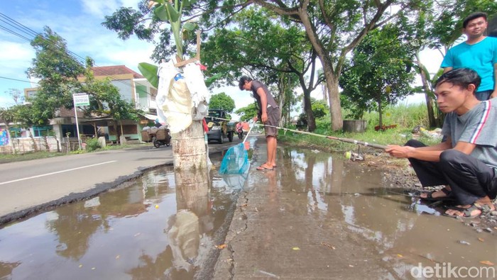 Warga Jember memancing di lubang jalan yang tergenang air. Jalan berlubang di Jember juga ditanami pohon pisang