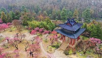 Diberbagai sudut kebun menjadi spot foto yang sangat menarik.  