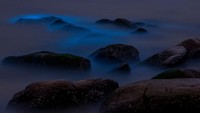 Seperti sedang melihat Aurora borealis, namun bedanya ini bukan di atas langit, melainkan di bawah laut.