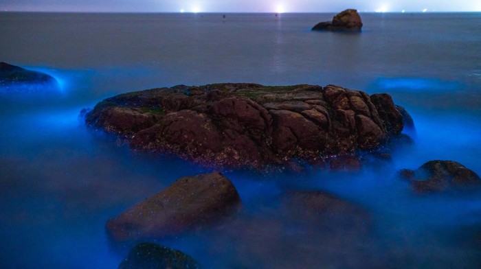 Pantai di China Bercahaya Bak Lampu Neon, Keren Banget! ZHUHAI, CHINA - FEBRUARY 13: A fluorescent beach is seen on February 13, 2023 in Zhuhai, Guangdong Province of China. It is said that the blue fluorescence is caused by noctiluca scientillans. (Photo by Chen Shuoming/VCG via Getty Images)