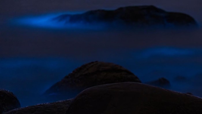Pantai di China Bercahaya Bak Lampu Neon, Keren Banget! ZHUHAI, CHINA - FEBRUARY 13: A fluorescent beach is seen on February 13, 2023 in Zhuhai, Guangdong Province of China. It is said that the blue fluorescence is caused by noctiluca scientillans. (Photo by Chen Shuoming/VCG via Getty Images)