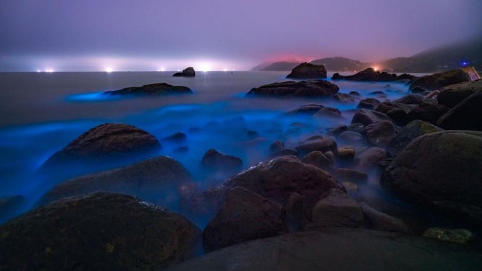 Pantai Neon di Zhuhai China ZHUHAI, CHINA - FEBRUARY 13: A fluorescent beach is seen on February 13, 2023 in Zhuhai, Guangdong Province of China. It is said that the blue fluorescence is caused by noctiluca scientillans. (Photo by Chen Shuoming/VCG via Getty Images)