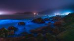 Bukan Aurora, Ini Pantai di China yang Nyala Seperti Lampu Neon