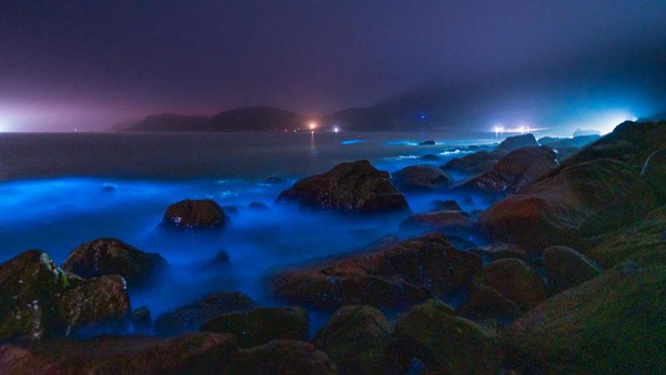 Bukan Aurora, Ini Pantai di China yang Nyala Seperti Lampu Neon