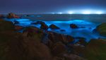Bukan Aurora, Ini Pantai di China yang Nyala Seperti Lampu Neon