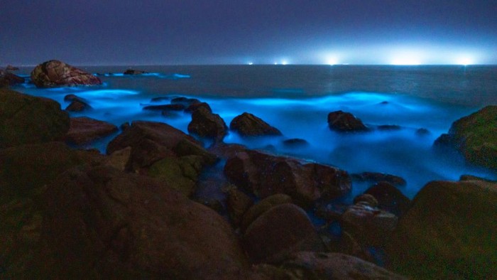 Pantai Neon di Zhuhai China ZHUHAI, CHINA - FEBRUARY 13: A fluorescent beach is seen on February 13, 2023 in Zhuhai, Guangdong Province of China. It is said that the blue fluorescence is caused by noctiluca scientillans. (Photo by Chen Shuoming/VCG via Getty Images)