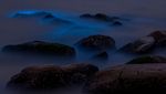 Bukan Aurora, Ini Pantai di China yang Nyala Seperti Lampu Neon