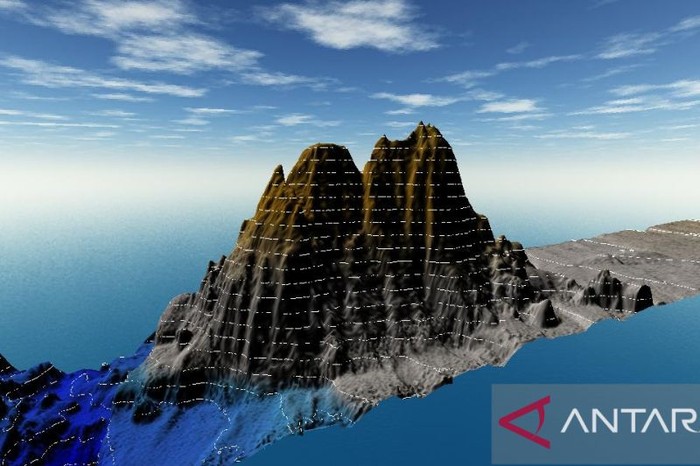 Penampakan gunung bawah laut di di perairan selatan Kabupaten Pacitan, Jawa Timur.  (ANTARA/HO/BIG)