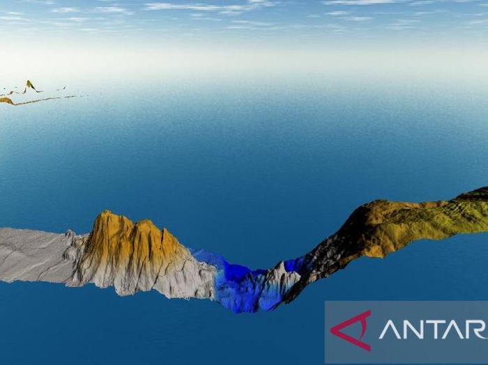 Penampakan gunung bawah laut di di perairan selatan Kabupaten Pacitan, Jawa Timur.  (ANTARA/HO/BIG)