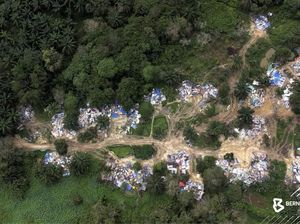 Penampakan Kampung Ilegal WNI di Pelosok Hutan Malaysia