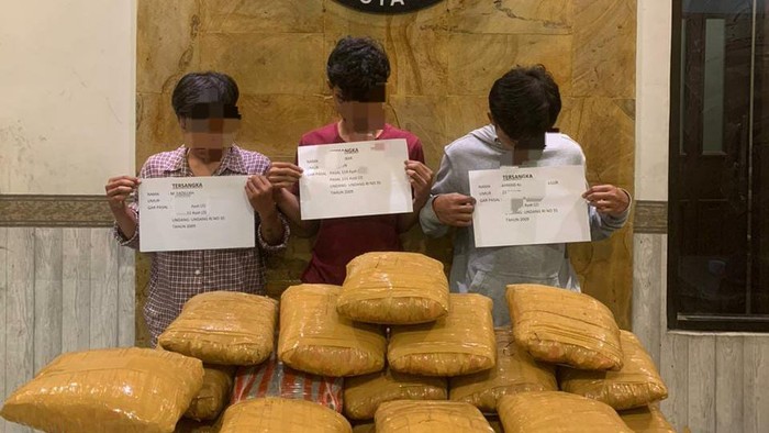 Pengedar ganja jaringan Sumut dibekuk di Jambi. (Foto: Istimewa)