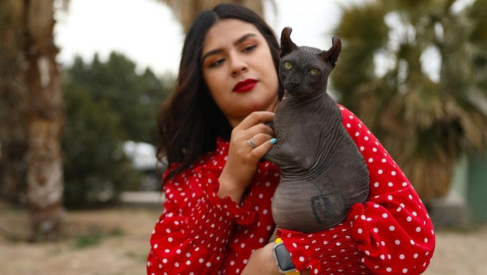 The veterinarian Giselle Rubio, from the Rescue and Adoption of Pets of the Municipality (RAMM), holds an Egyptian Mau cat tattooed with the symbols of the criminal group Los Mexicles that reads 