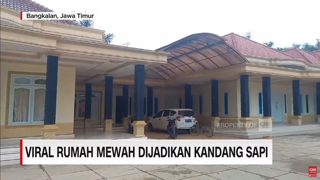 Madura dikenal dengan budaya karapan sapi. Di wilayah ini sapi-sapi yang diikutkan dalam lomba karapan mendapatkan perlakuan istimewa, demikian pula dengan kandangnya. Seperti yang dilakukan pemilik rumah mewah di Desa Lantek Timur, Kecamatan Galis, Kabupaten Bangkalan, Madura, Jawa Timur ini yang viral di media sosial. Foto: Dok. CNN Indonesia.