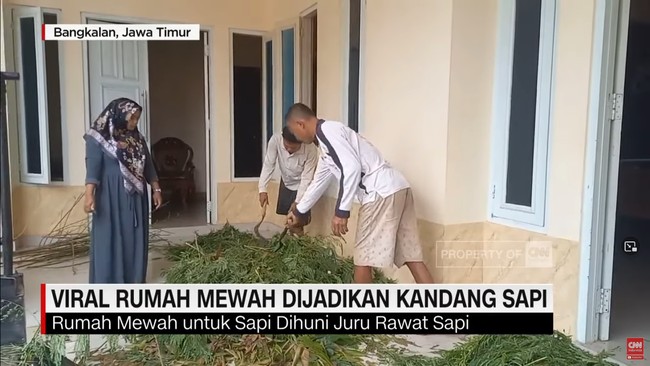 Rumah mewah khusus kandang sapi ini juga dihuni oleh beberapa orang pegawai untuk merawat sapi. Rumah ini memiliki beberapa ruangan. Dua ruangan digunakan untuk perawatan sapi dan sisanya dipakai sebagai tempat istirahat juru rawat sapi. Foto: Dok. CNN Indonesia.