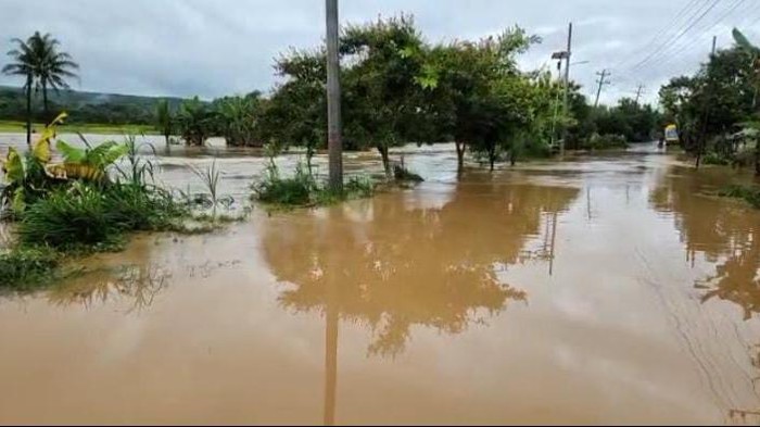 Hujan deras yang mengguyur wilayah Wonogiri menyebabkan sungai Wiroko di Kecamatan Nguntoronadi meluap. Akibatnya jalan raya Tirtomoyo-Wonogiri ditutup sementara.