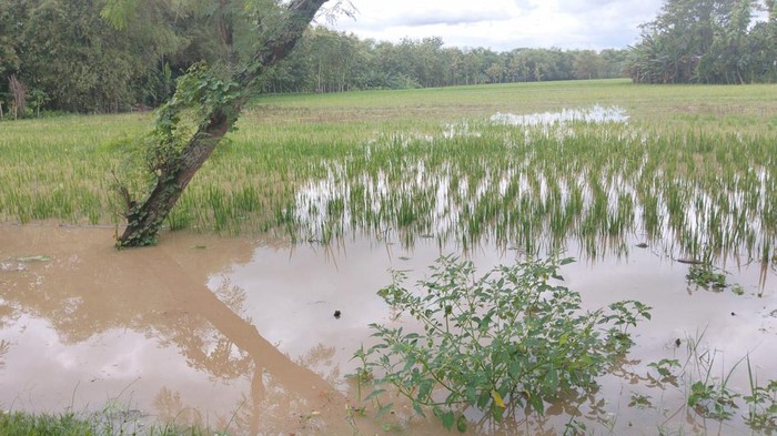banjir di Ngawi