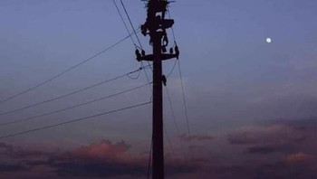 Death Note di dunia nyata. Foto: Reddit