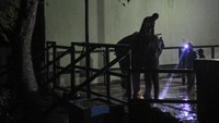 Kebun Binatang Taman Rimba Jambi akan menambah koleksi satwa barunya.