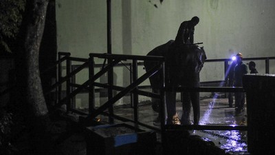 Fraksi Si Gajah Betina Sumatera Tiba di Kebun Binatang Rimba Jambi