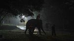 Fraksi Si Gajah Betina Sumatera Tiba di Kebun Binatang Rimba Jambi
