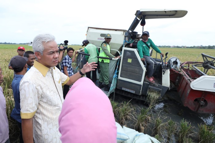 Gubernur Jateng Ganjar Pranowo meninjau panen raya dan Lumbung Beras Masyarakat di Desa Harjowinangun, Kecamatan Godong, Kabupaten Grobogan, Jateng, hari ini.