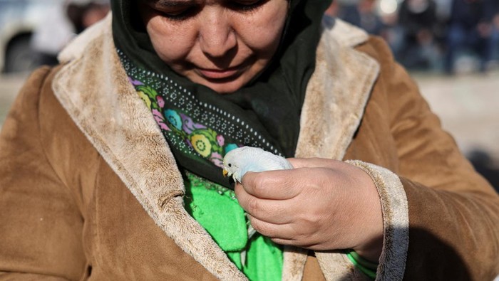 Amina, whose home was destroyed, holds the bird Enkaz, in the aftermath of a deadly earthquake in Kahramanmaras, Turkey February 14, 2023. REUTERS/Nir Elias