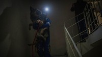 Anjing itu akhirnya berhasil ditarik keluar dan dibawa ke lokasi yang aman.   