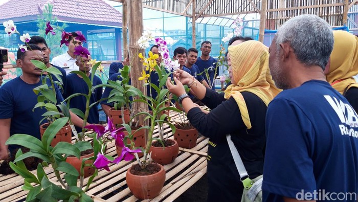 Narapidana (napi) di Rutan Boyolali mendapat pelatihan budi daya bunga anggrek dari Sahabat Anggrek Boyolali, Rabu (15/2/2023). Narapidana (napi) di Rutan Boyolali mendapat pelatihan budi daya bunga anggrek dari Sahabat Anggrek Boyolali, Rabu (15/2/2023).