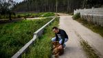 Potret Bobi, Anjing Tertua di Dunia dari Portugal