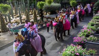 Sejumlah pasangan menunggangi gajah dalam perayaan Hari Valentine di Taman Tropis Nong Nooch, provinsi Chonburi, Thailand, Selasa (14/2/2023).  