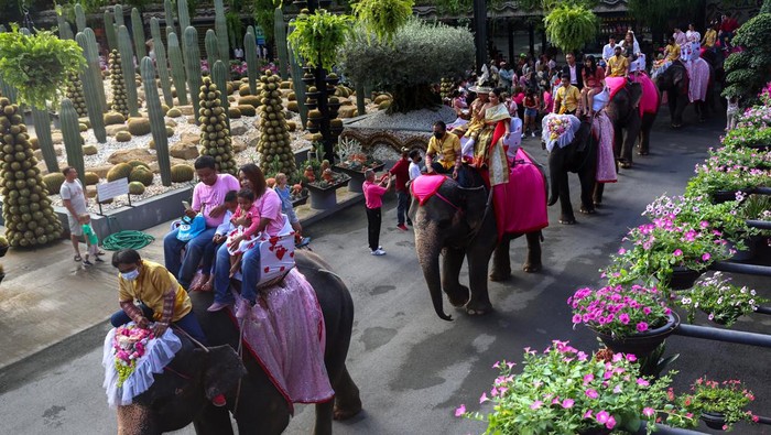 Rayakan Valentine, Puluhan Pasangan Thailand Nikah di Atas Gajah A couple receives their marriage license from an officer, during a marriage licenses signing ceremony on elephants, on Valentine's Day, at the Nong Nooch Tropical Garden in Chonburi, Thailand, February 14, 2023. REUTERS/Athit Perawongmetha