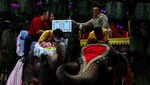 Rayakan Valentine, Puluhan Pasangan Thailand Nikah di Atas Gajah