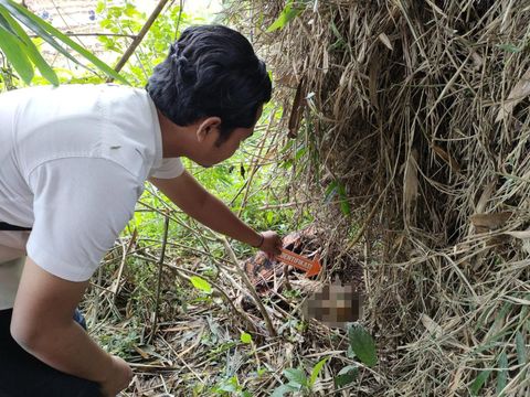 Tengkorak manusia yang ditemukan pencari rebung di Jombang