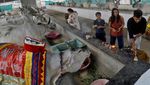 Unik Banget, India Ubah Valentine Jadi Hari Memeluk Sapi