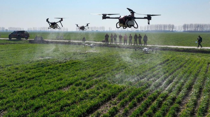 1466388367 LIXIN, CHINA - FEBRUARY 15: Farmers prepare drones to spray pesticide in a wheat field on February 15, 2023 in Lixin County, Bozhou City, Anhui Province of China. (Photo by VCG/VCG via Getty Images)