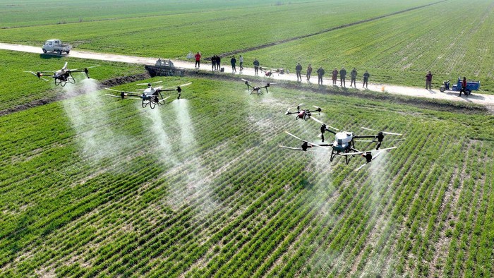 1466388367 LIXIN, CHINA - FEBRUARY 15: Farmers prepare drones to spray pesticide in a wheat field on February 15, 2023 in Lixin County, Bozhou City, Anhui Province of China. (Photo by VCG/VCG via Getty Images)