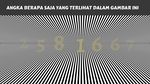Temukan Angka Tersembunyi di Gambar Ini, Yuk! Kalau Berhasil Tandanya Kamu Jeli