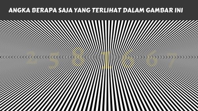 Temukan Angka Tersembunyi di Gambar Ini, Yuk! Kalau Berhasil Tandanya Kamu Jeli