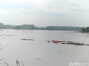 Bengawan Solo Siaga 2, Warga Ngawi-Bojonegoro Diminta Selalu Waspada