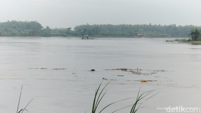 Bengawan Solo Bojonegoro