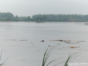 Ngerinya Banjir Bengawan Solo di Bojonegoro pada 2007-2008
