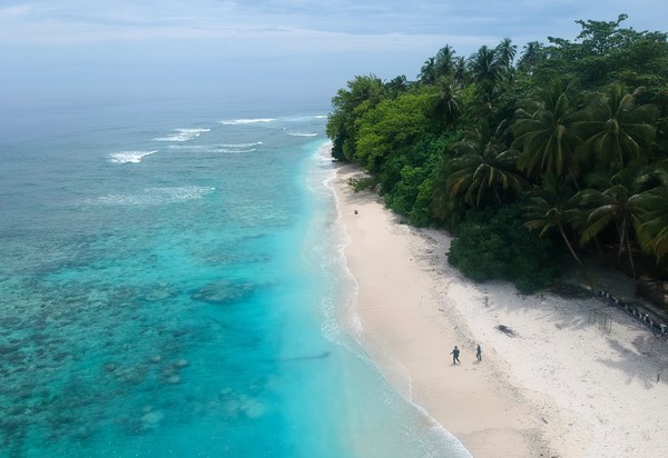 Laut