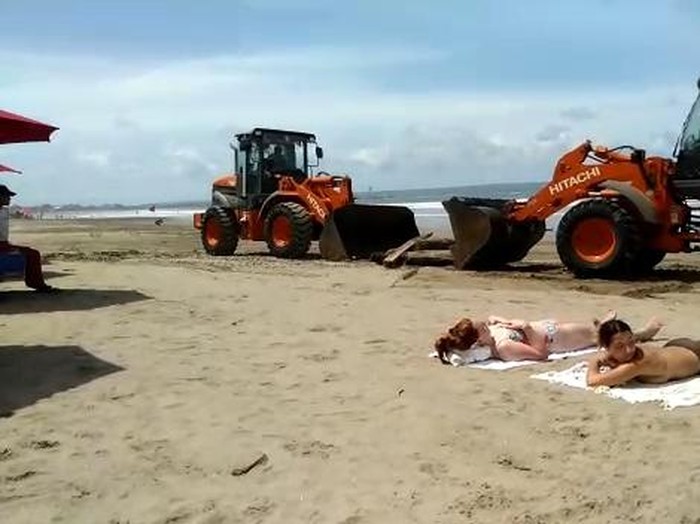 Bule-bule tampak asyik berjemur tanpa menghiraukan adanya alat berat yang sedang bekerja membersihkan sampah di Pantai Seminyak, Kamis (16/2/2023) siang. (Triwidiyanti/detikBali)
