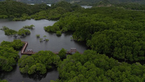 Foto udara suasana hutan bakau dengan fasilitas jembatan kayu di Mangrove Pantai Bebek, Hamadi, Kota Jayapura, Papua, Kamis (16/2/2023). Ekowisata tersebut menjadi destinasi favorit wiatawan di Ibu Kota Papua sekaligus menjadi habitat bagi beragam satwa serta pencegah abrasi di pesisir setempat. ANTARA FOTO/Gusti Tanati/app/rwa.