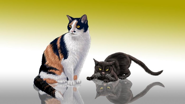 ilustrasi cerpen