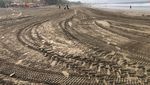 Pantai di Bali Banyak Sampah Kayu, Bule Ini Cuek Berjemur