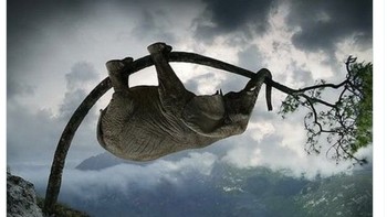 Performa Arsenal belakangan ini cenderung menurun. Foto: Twitter